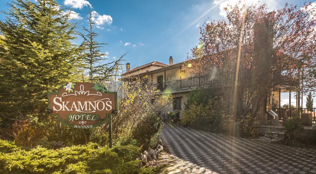 Boutique Hotel Skamnos Arachova Buitenkant foto